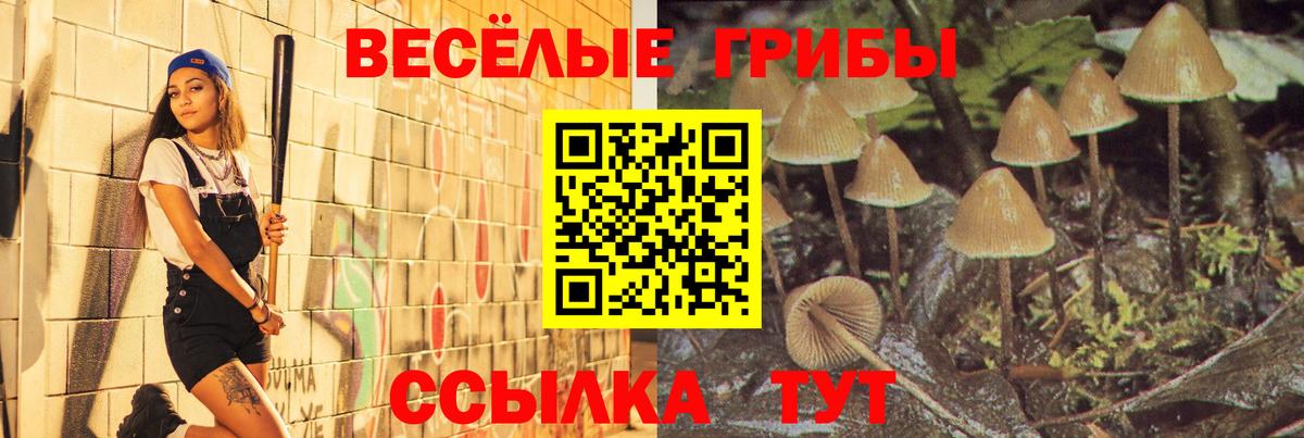 Галлюциногенные грибы мицелий  Вход с VPN  Ртищево 